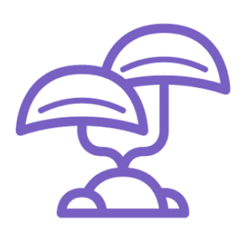 Hausschwamm Logo