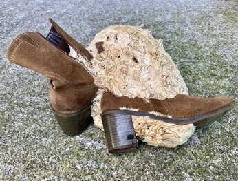 Wespennest in einem braunen Wildlederstiefel auf einer mit Moos bewachsenen Betonfläche entdeckt