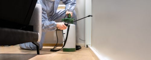 Kammerjäger bei der Schädlingsbekämpfung in einem Privathaushalt mit Sprühgerät Kammerjäger bei der Schädlingsbekämpfung in einem Privathaushalt mit Sprühgerät
